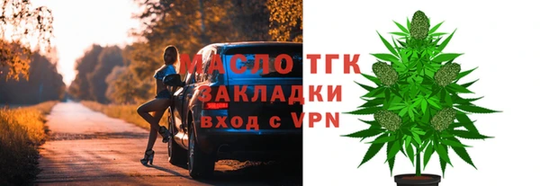 гашик Гусев