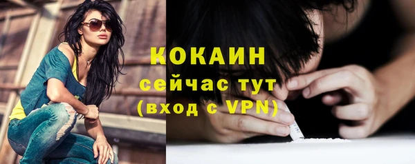 гашик Гусев