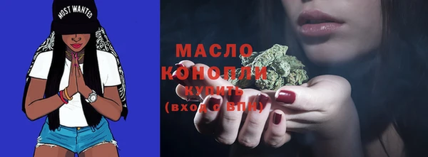 гашик Гусев