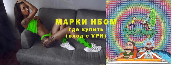 гашик Гусев