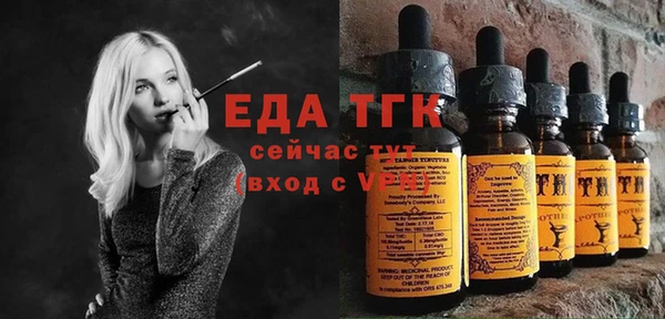 гашик Гусев
