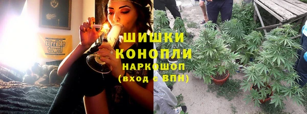 индика Лабытнанги