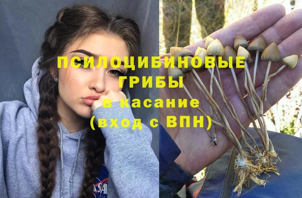 твердый Гусь-Хрустальный