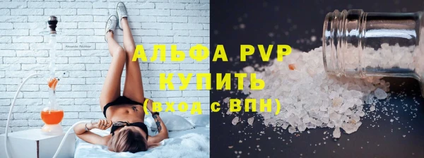 гашик Гусев