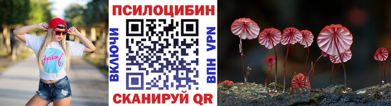 ОМГ ОМГ tor  Салаир  Псилоцибиновые грибы мухоморы 