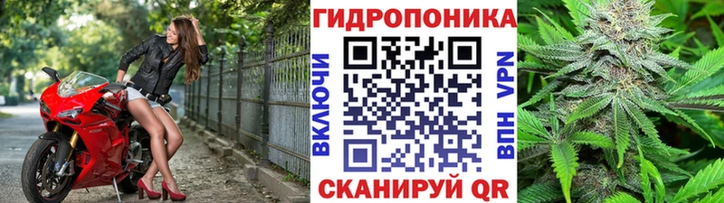 Шишки марихуана THC 21%  Салаир 